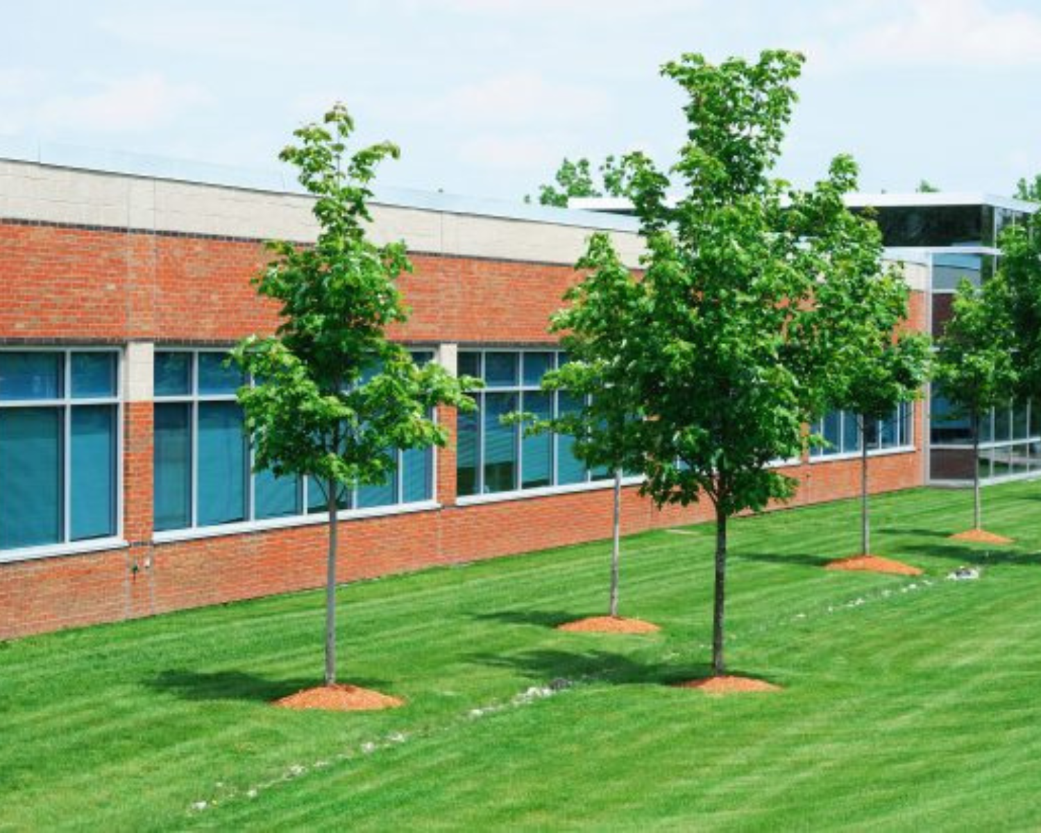 HIGH QUALITY LAWN MAINTENANCE  HIGH QUALITY LAWN MAINTENANCE